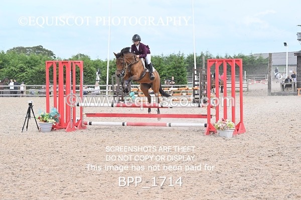 BPP_1714 - CLASS 12 Pony BritiNovice / 0.80m Open
