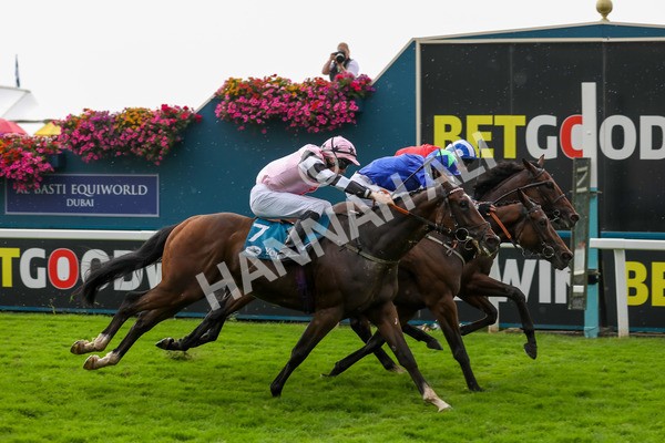 100923-Race 6-Anjo Bonita-4007 - Race 6 4.25pm Hanson Springs 60th Anniversary Handicap at York
