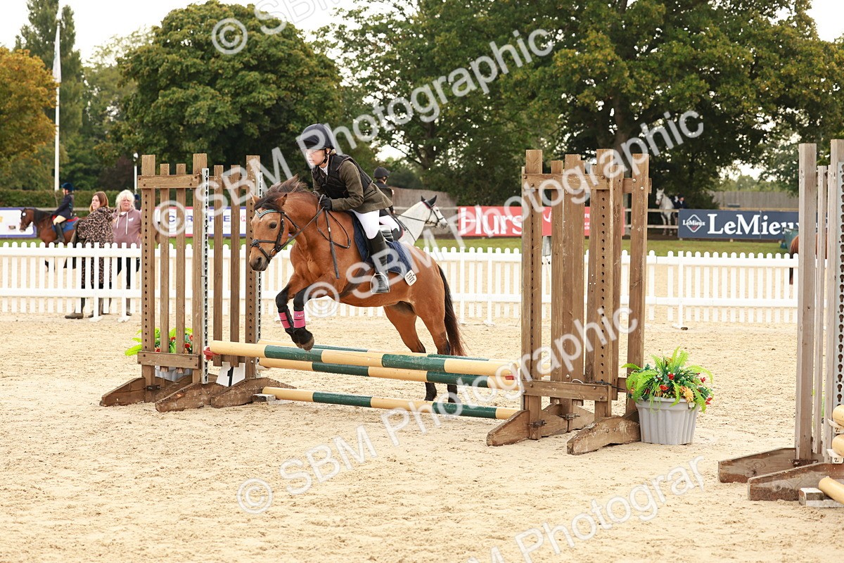 SBM_57610 - J11 - Junior Pony 50cm Championship