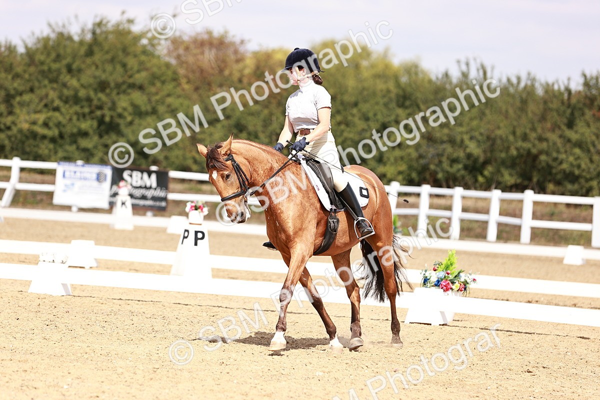 SBM_018556 - Class 17 - Novice 6