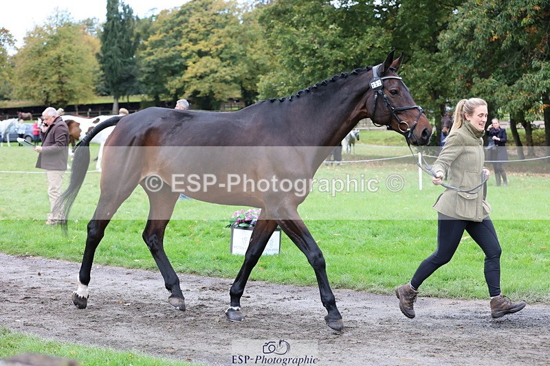 251026A-110646-23517 - G-559-Eleanor.Dunachie