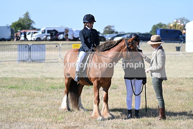 WJ7_2976 - Class 8 Ridden Tack & Turnout