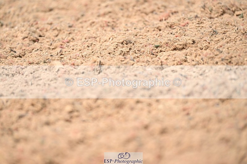 240621A-143515-04309 - Cls 8 BD Elementary 53