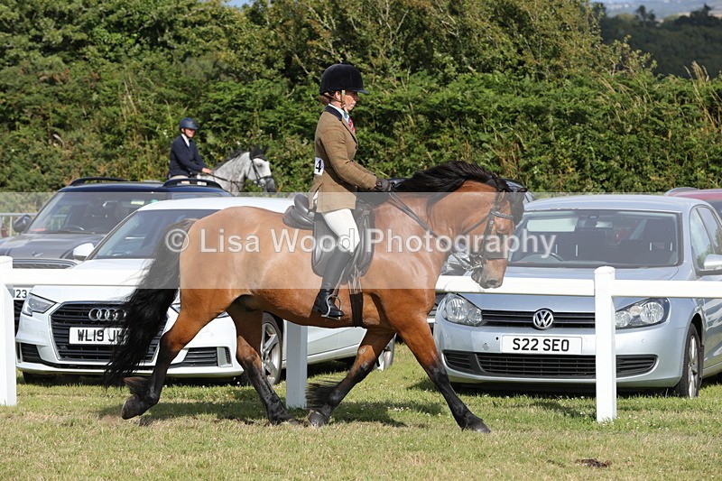 1X9A5953 - Class 42: NPS Dales, Fell, Highland