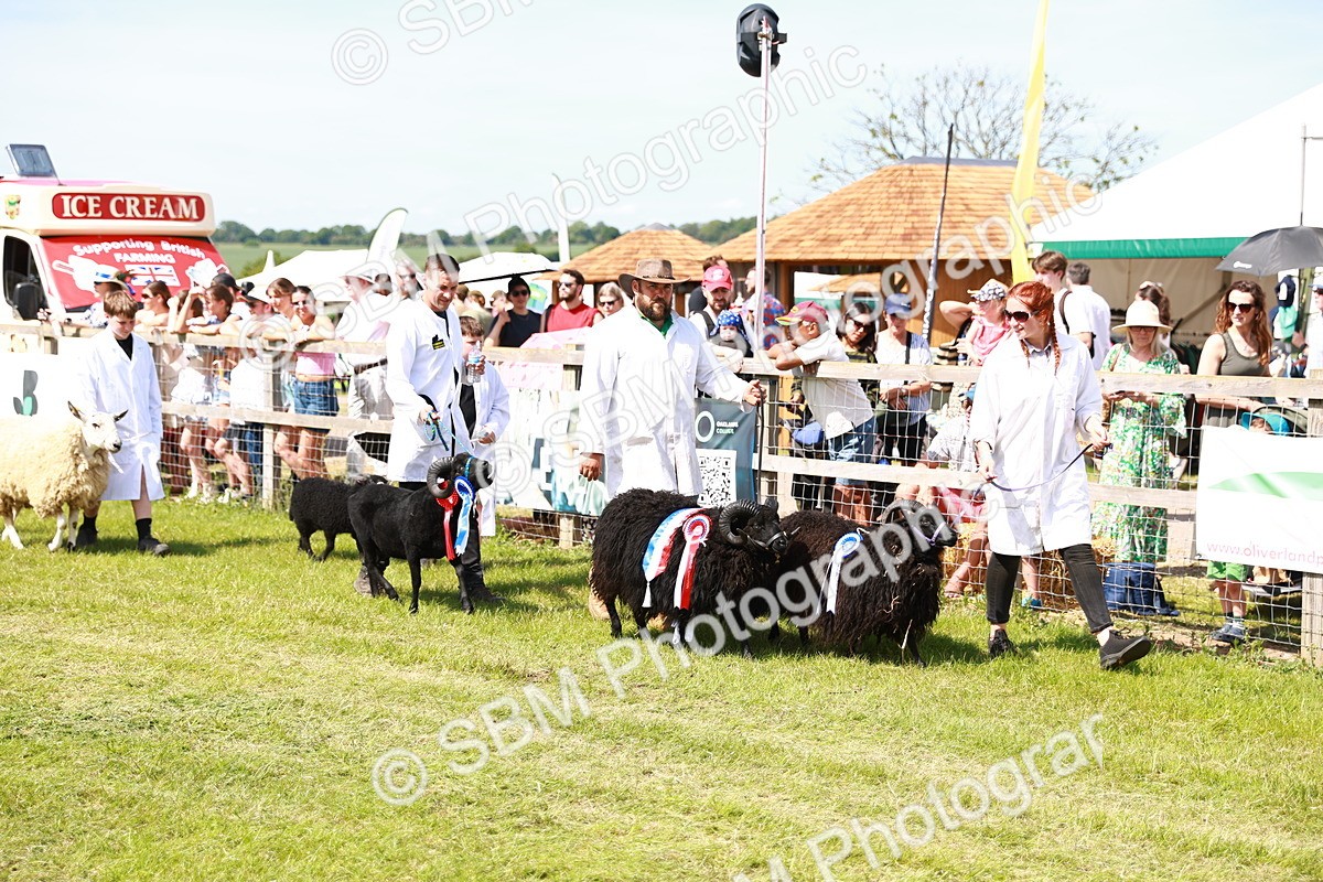 SBM_08294 - Grand Parade