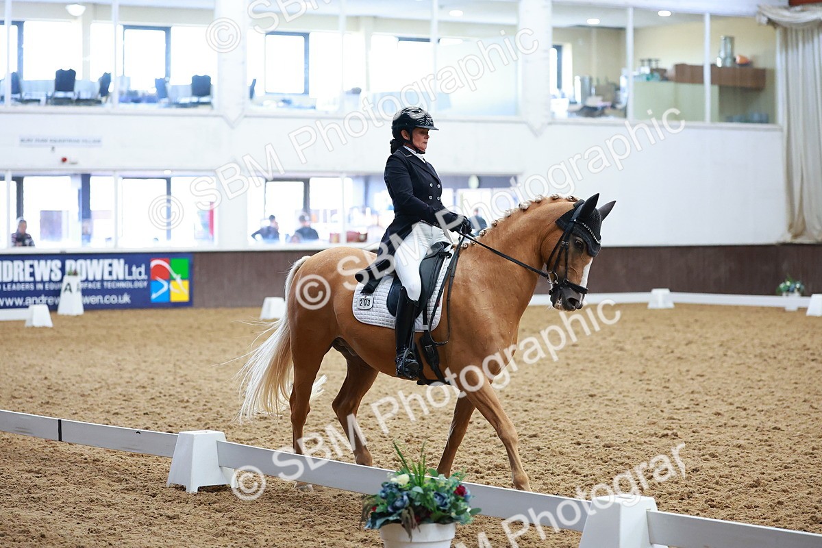 SBM_021278 - Class 25 - FEI PSG Bronze