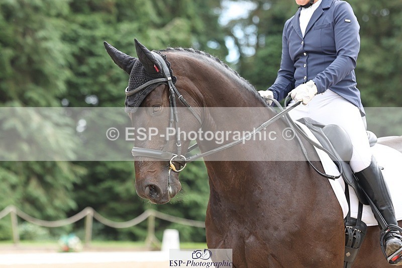 240810-135558-03531 - 125-Abby.Strong-Nps.Harper