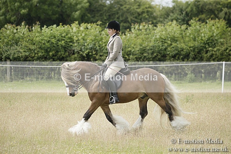 B230619-0438 - Bourne Valley Riding Club Summer Show 23/06/19