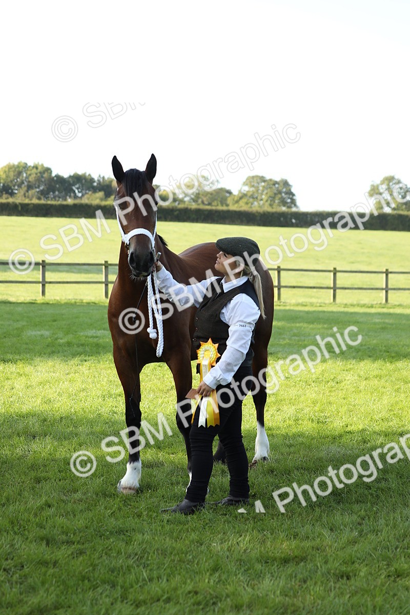 SBM_57985 - S42 - Youngstock