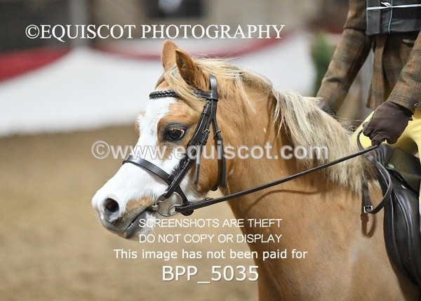 BPP_5035 - CLASS 3 40CM