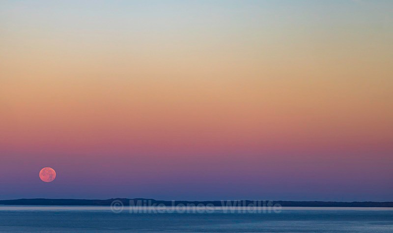 MOONSET, ISLE OF COLL, HEBRIDES SEPT 2 - Sea Mist, Moonset and Sunset over the Hebrides seen from the Isle of Mull