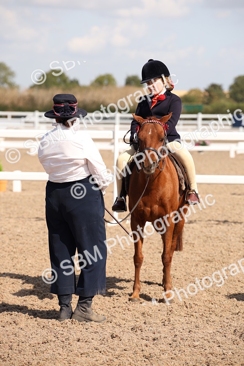 SBM_03054 - Class 17 Prettiest Mare IH or Ridden