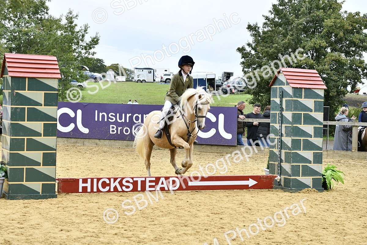 SBM_65396 - J2a mini Tour Junior Pony 30cm Championship