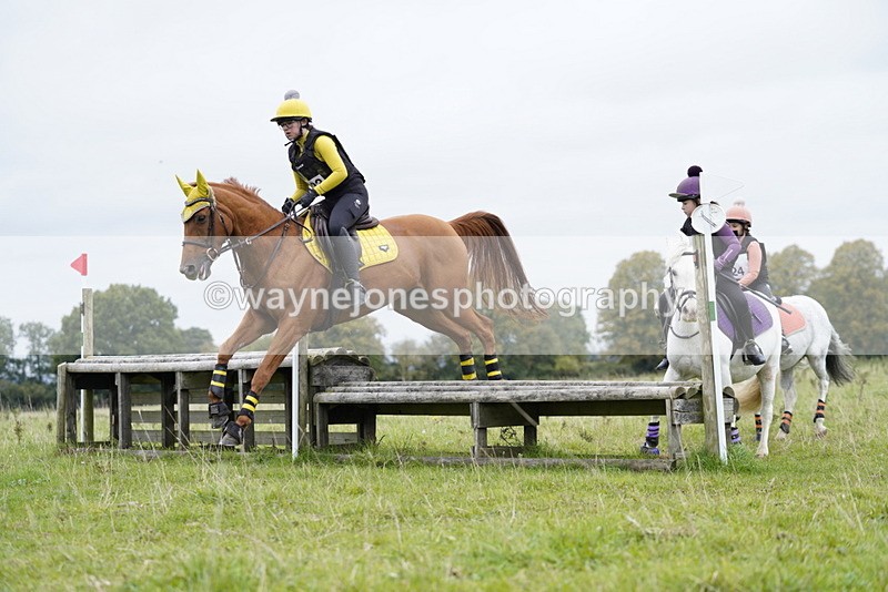 _DSC6654 - Time at Photographer 10:13 to 10:42