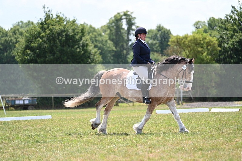 WJ7_8278 - Time 13:35 to 13:40