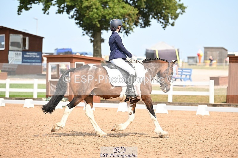 250816-140424-04993 - 050-Mollie.SheathTouch.Wood