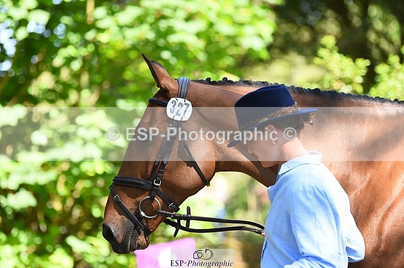 230524-152536-00260 - 327-ROMANTIC-Rosie_Fry-WEDTrotUp+DR