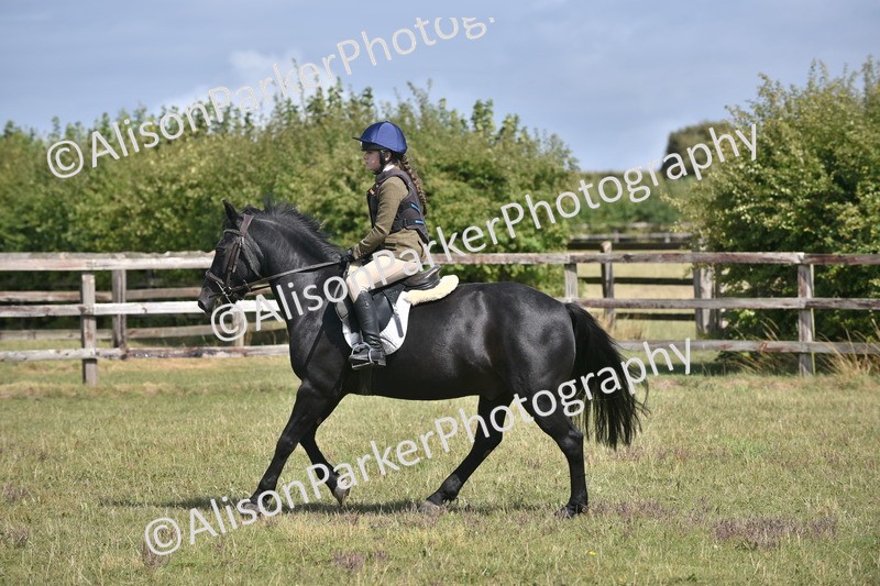 20250831-3989 - Class 12 - Working Hunter Pony 14.2hh and Under