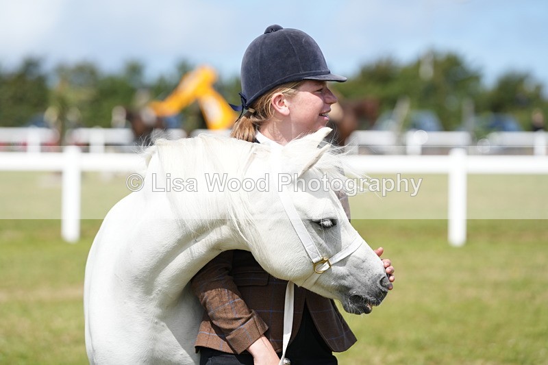 DSC05621 - Class 50: NPS M&M 4 years and over Small Breeds