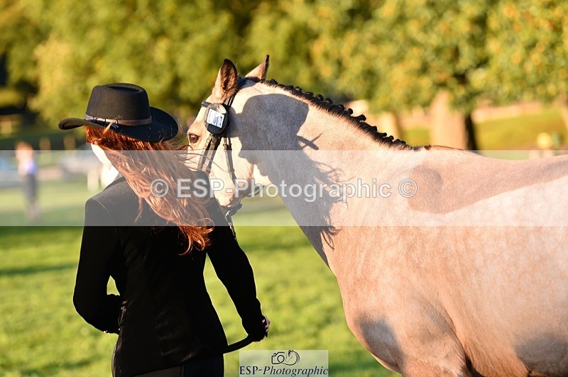 231022-084756-21368 - 661-MYSHALL.ROBBY-Poppy.Turriff-TrotUp+SJ