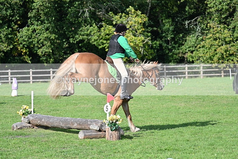 WJ7_3491 - 40cm Time 10:08 to 10:25