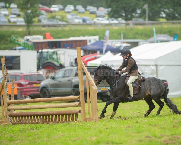 Dunblane show-284 - Dunblane and Doune Show Ring 1