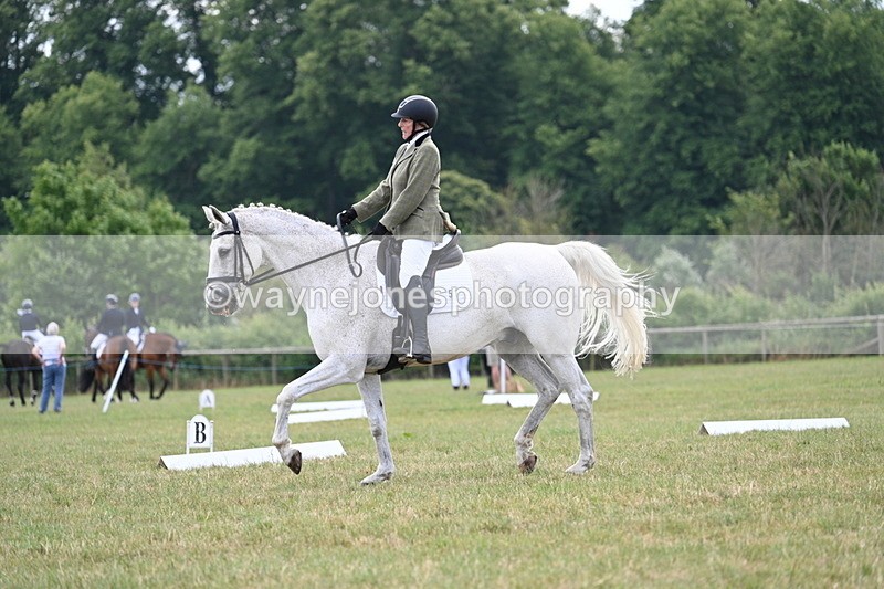 WJ7_5184 - Time 11:22 to 11:51