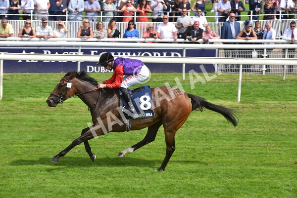 yr09072021r2-25 - Race 2: 2.40pm William Hill Summer Stakes