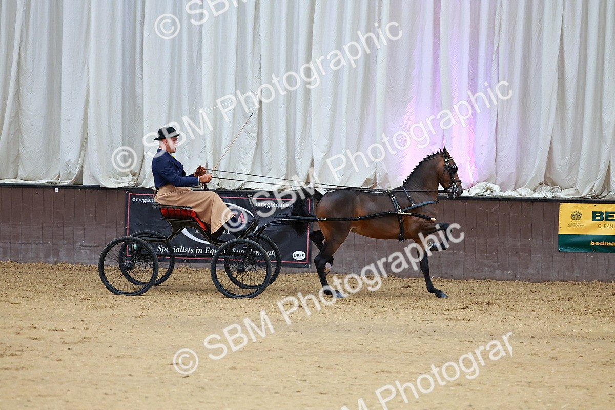 SBM_000632 - Class 9 - HHS Championship Intl Hackney Pony to a Showwagon