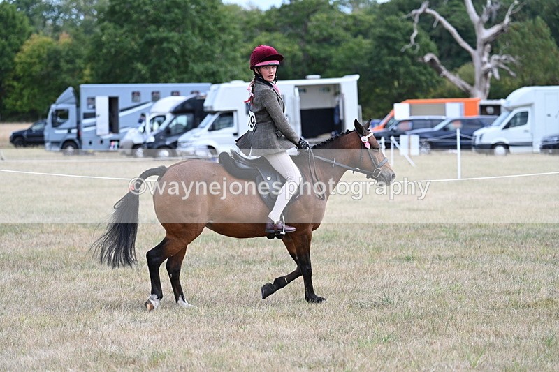 WJ7_5970 - Class 13 Ridden Veterans