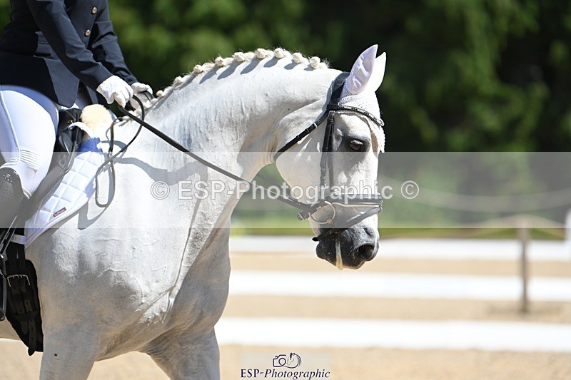 230811-135628-01660 - Cls 2 Prelim Silver Start to 14.30 break