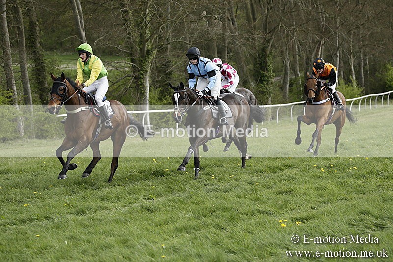 PtP 170417 332 - Old Berks Point-to-Point Lockinge 17/04/17