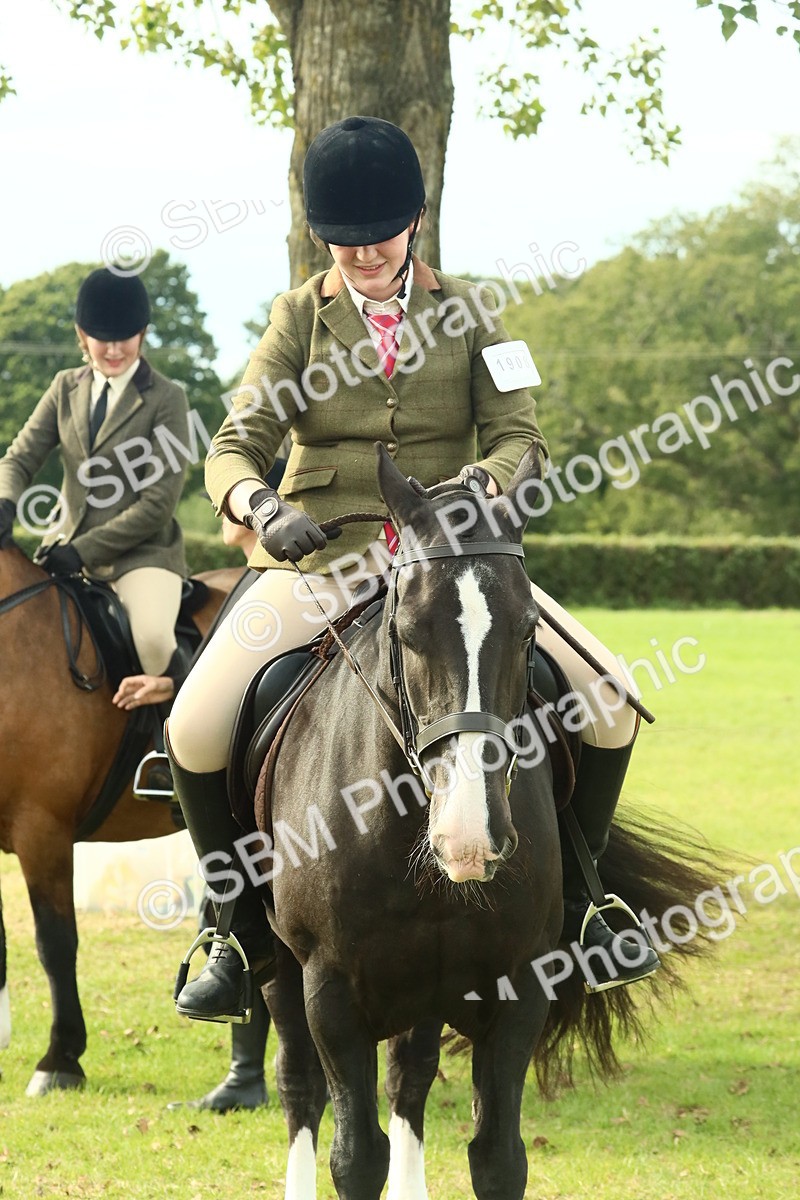 SBM_69384 - S58 - Mini Show Cob Ridden