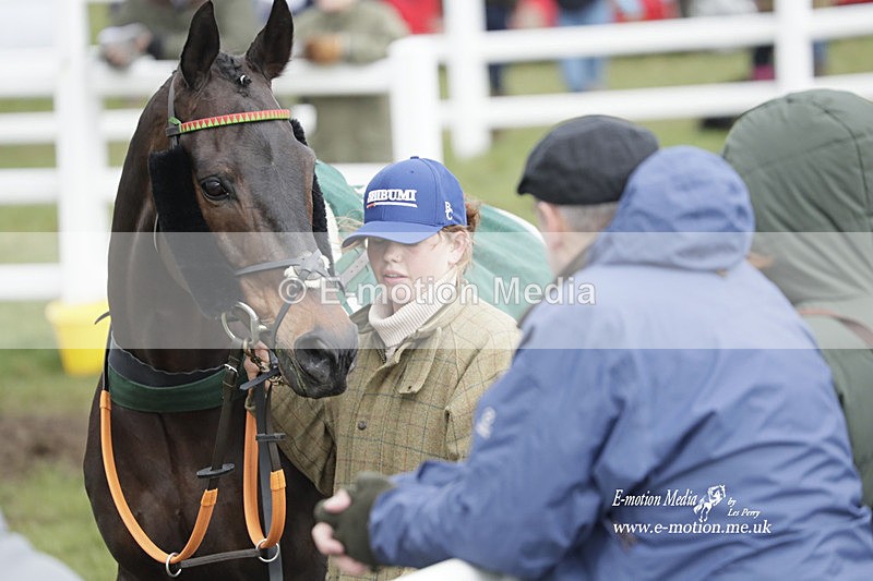 PtP 260323 0870 - New Forest Hounds Point-to-Point Larkhill 26/03/23