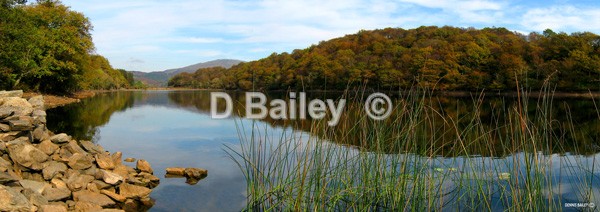 Llyn-Cynwch-1 - Lakes