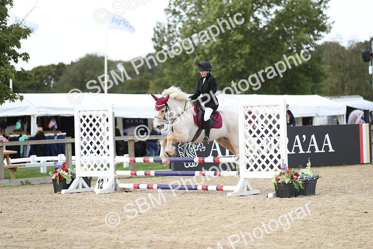 SBM_06427 - J29 - Senior Horse & Pony 65cm Championship