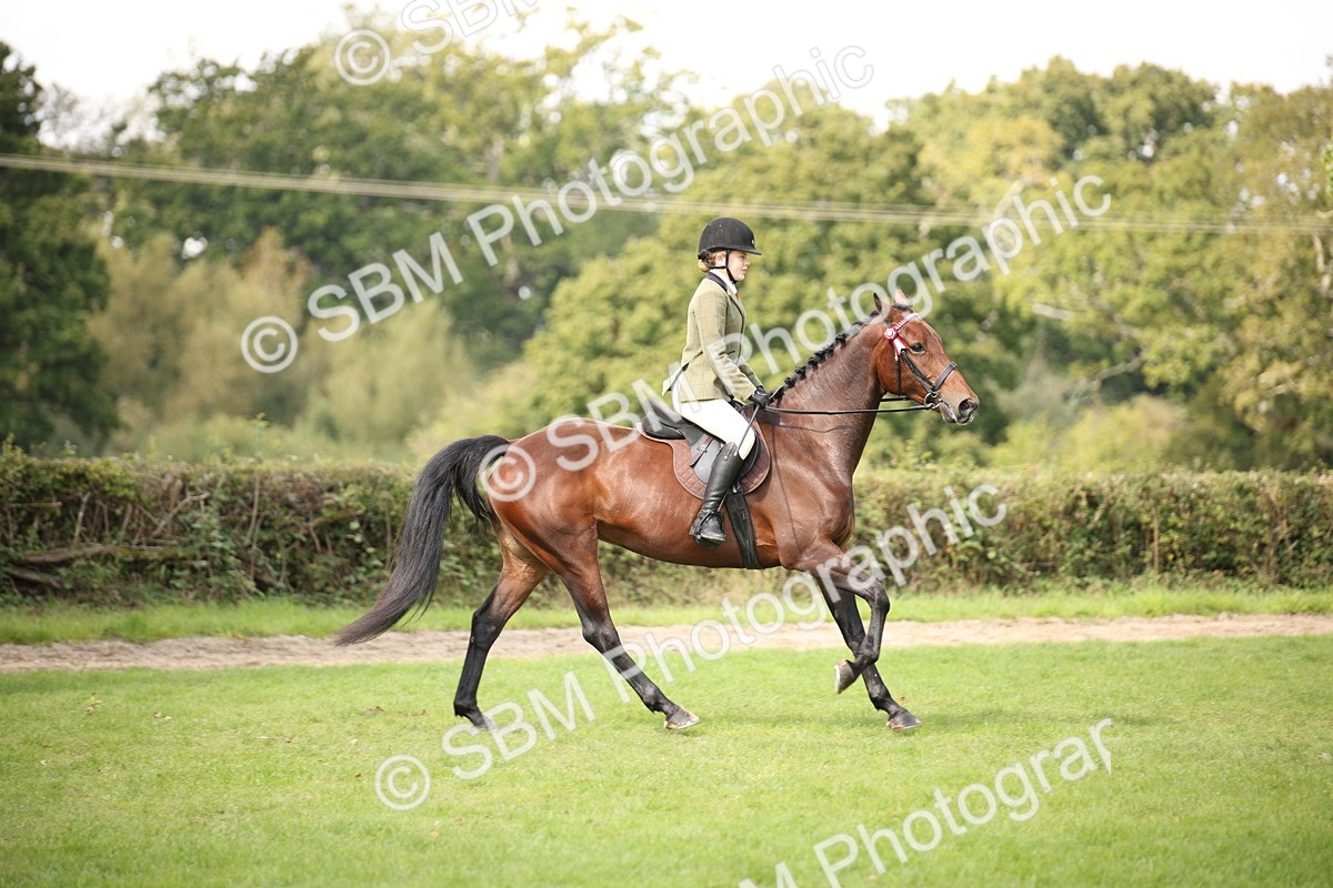 SBM_65930 - S64 - Riding Horse & Hack & Thoroughbred Ridden