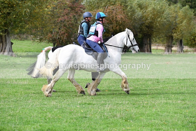 WJ5_0008 - Time 13:25 to 13:58