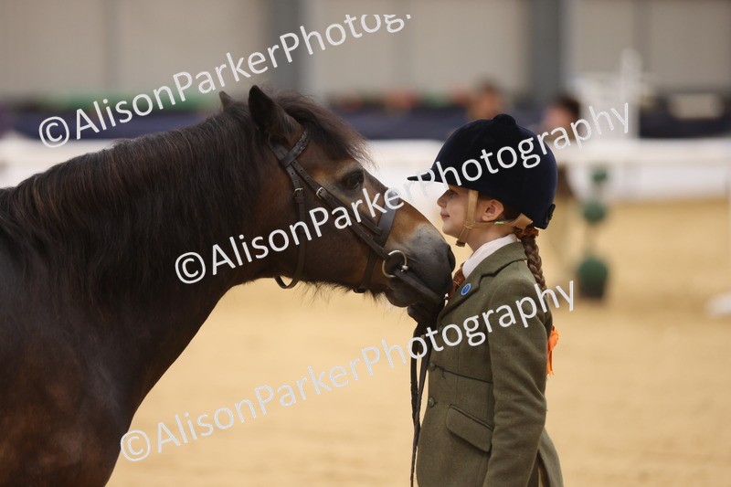 20260913-0101 - Class 121 - Young Handler 5-16