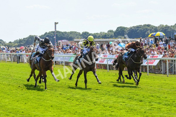 160623-Race 2-Celestial Flight-0294 - Race 2 2.25pm SKF Rous Selling Stakes