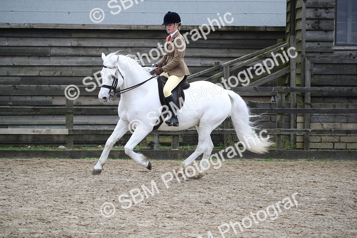 SBM_006155 - Class 10-13 - RIHS Small Large Breeds