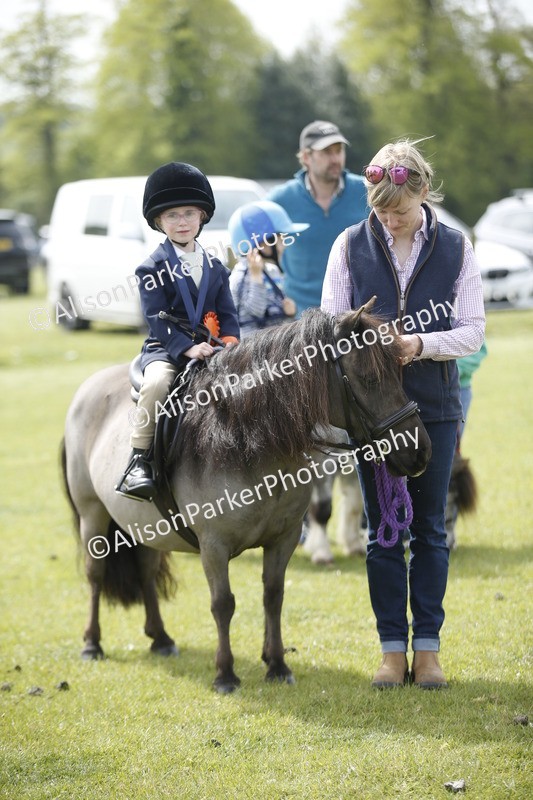 20260426-1922 - Class 7 - Pony Judge Would Most Like To Take Home