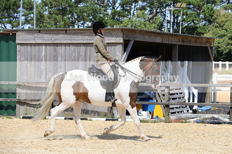 1X9A8856 - Class 19: Riding Club Horse