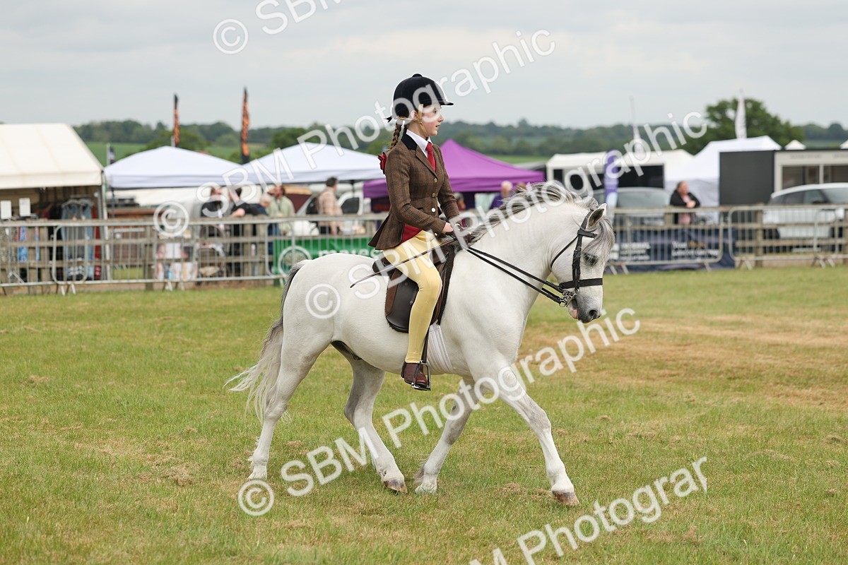 SBM_07106 - Class 76-77 - Ridden M&M Welsh Ponies