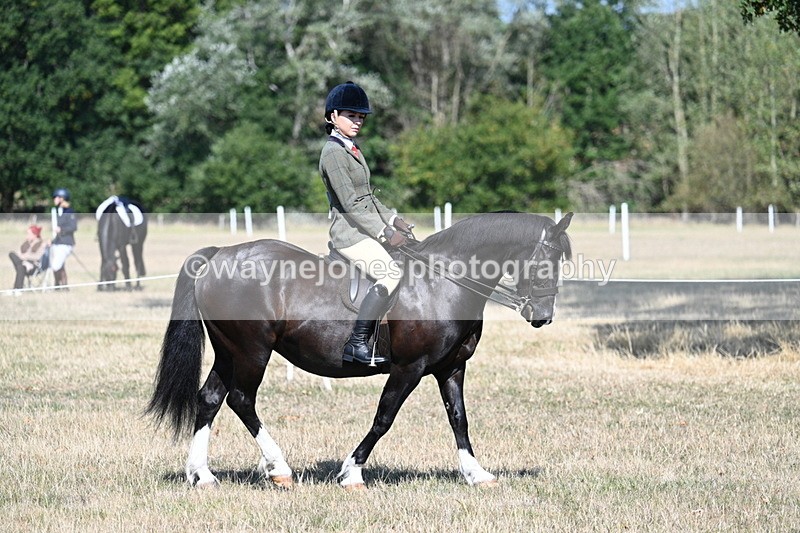 WJ7_3446 - Class 9 Mountain & Moorland Ridden