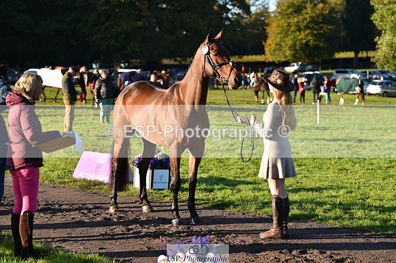 231022-092342-21754 - 617-MR.MISCHIEVOUS-Megan.Brown-TrotUp+SJ