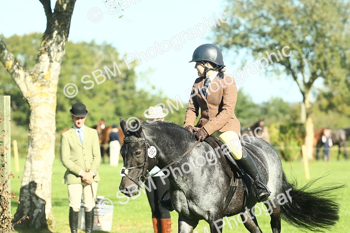 SBM_36452 - S29 - Novice & Newcomers Working Hunter Pony