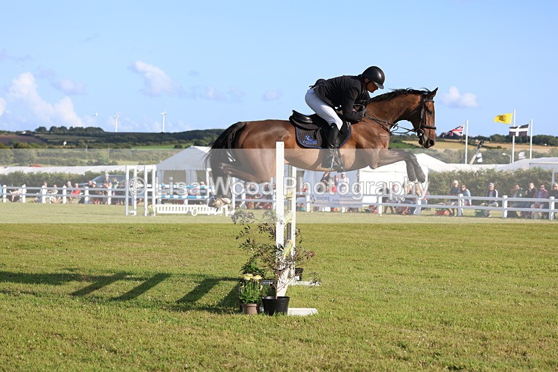 3E7A4508 - Class C: Showjumping Senior Foxhunter