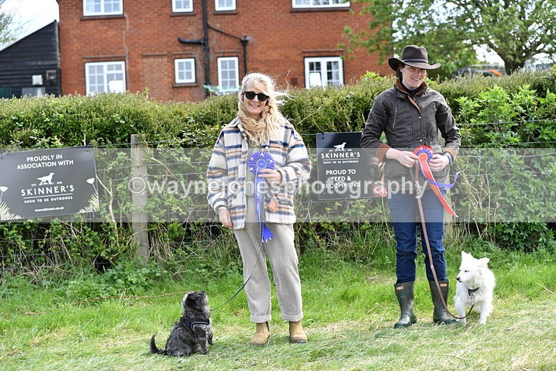WJ5_0844 - Best in Show Championship