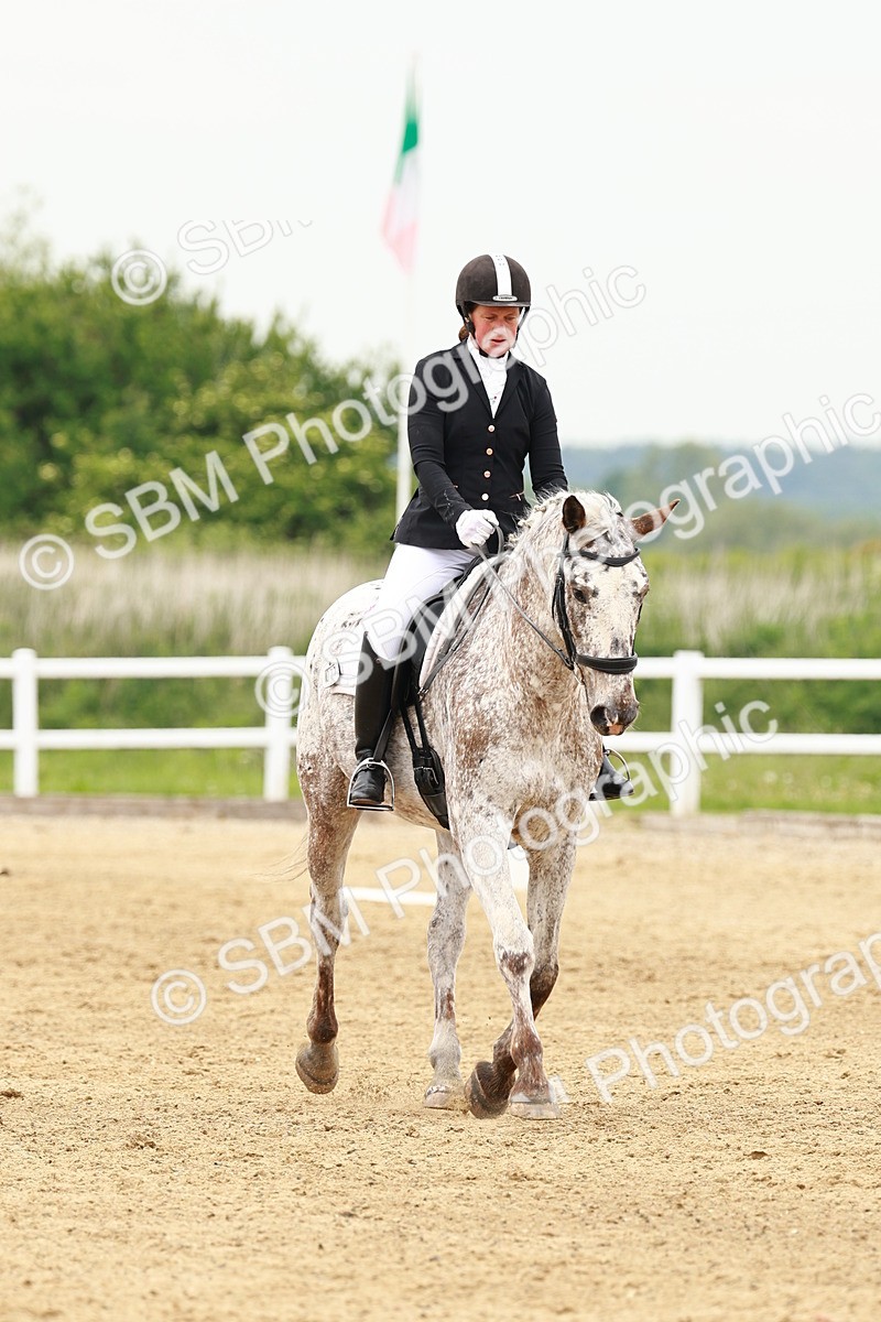 SBM_001278 - Class 7 - Novice 5